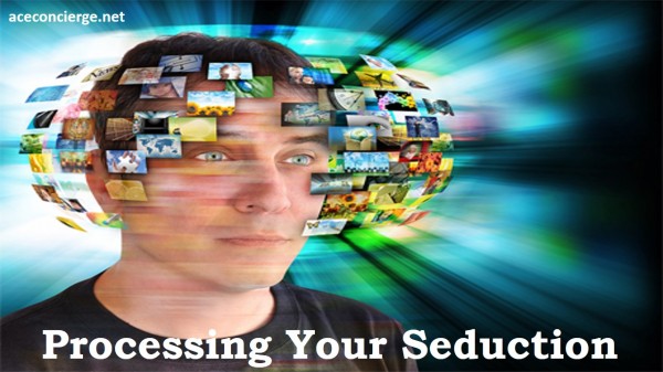 Data Overload | Processing Your Seduction Ace Concierge