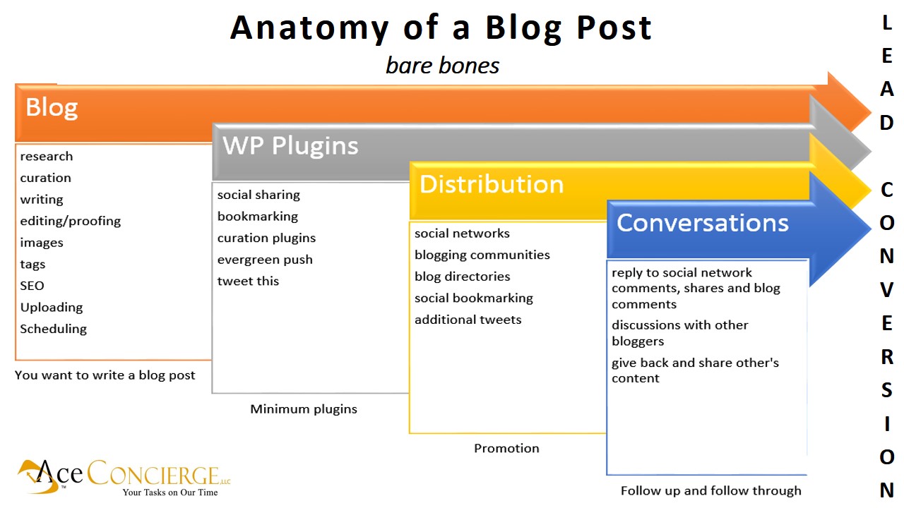 Know the Erogenous Zones of Your Blog Post