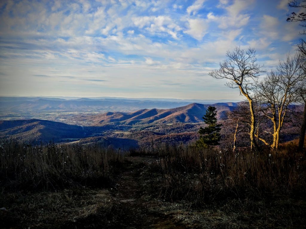 Winter on Skyline Drive