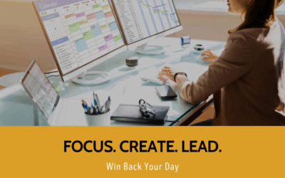 Winning Back Your Day: The Blueprint for Visionaries
