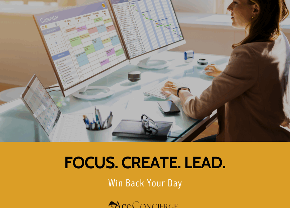 Winning Back Your Day: The Blueprint for Visionaries
