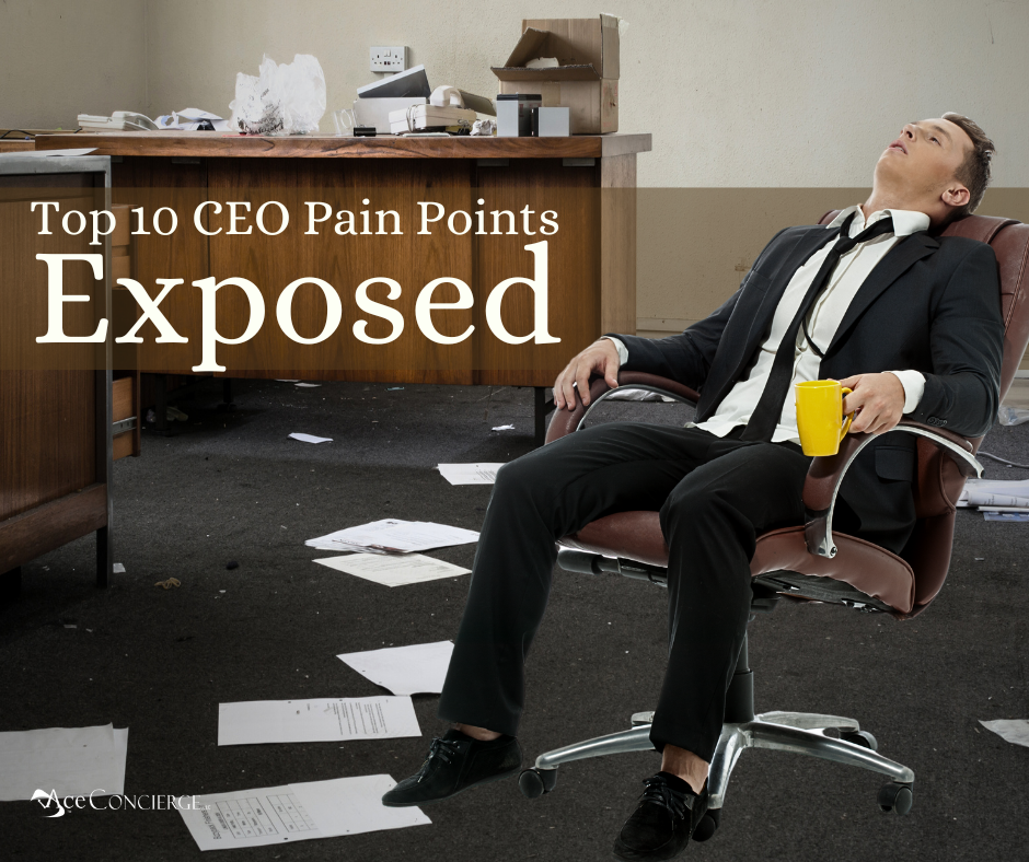 Ace Concierge LLC Top 10 CEO Pain Points EXPOSED